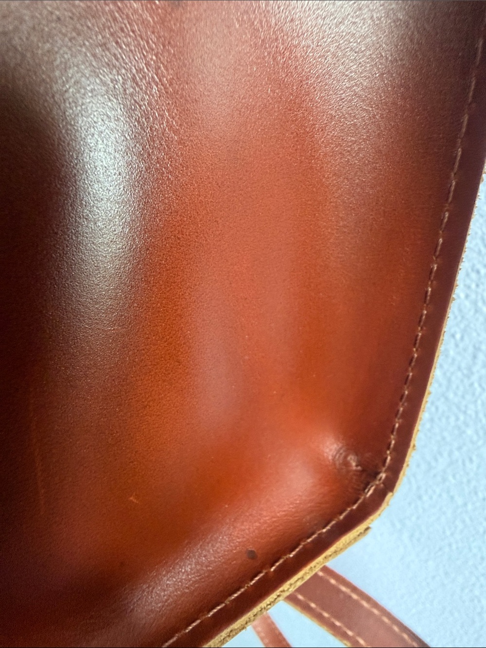 Portland Leather Lola Crossbody Tote- Madrone - Picture 16 of 16